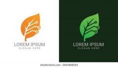 <b>锦宁庆江科技聚焦技术研发,强化企业数字能力</b>