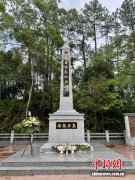 （抗战胜利80周年）专访历史学者刘智鹏：让香港抗战记忆“活”起来